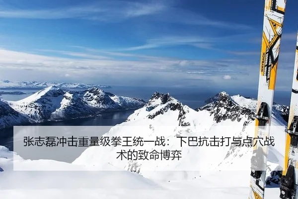 张志磊冲击重量级拳王统一战：下巴抗击打与点穴战术的致命博弈